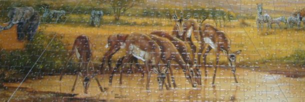 Africa Puzzles Online