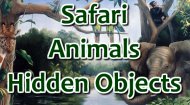 Safari Hidden Animals