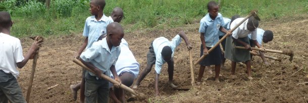 3rd world farmer game