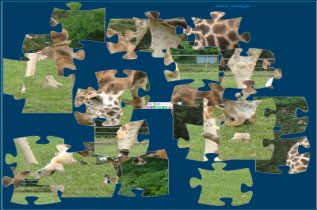 Giraffe Jigsaw Puzzle